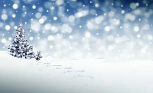 Weihnachtsferien 2024